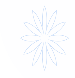 乐鱼（Leyu）体育官网